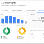 Google Adwords Audience Insights