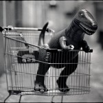 shopping cart - dinosaur - returns