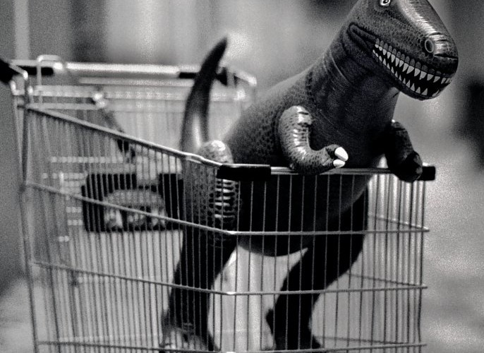 shopping cart - dinosaur - returns