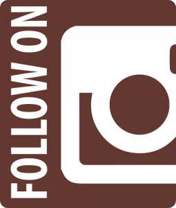 instagram marketing, follow us on instagram graphic
